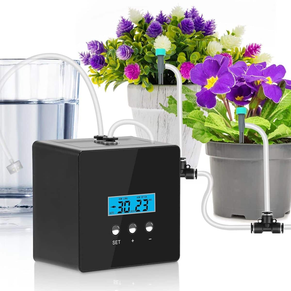 Test du système d'arrosage automatique pour plantes d'intérieur