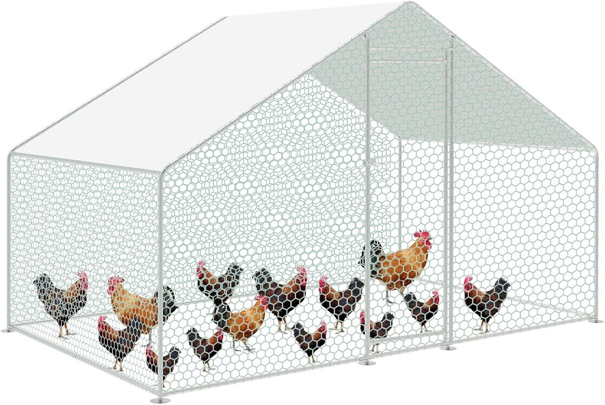 Test du poulailler Fiqops métal 3x4x2 m avec bâche de toit