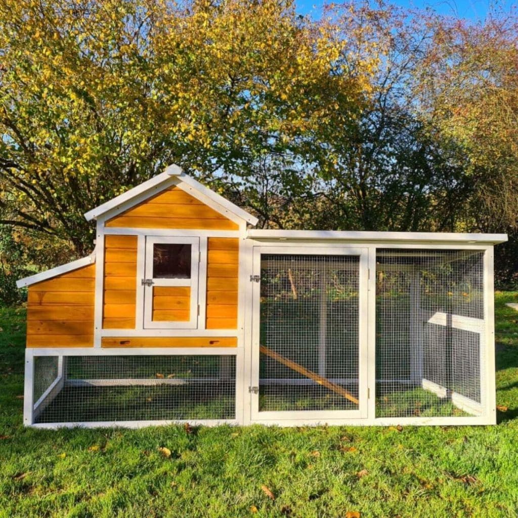 Test du poulailler Animal Valley XL : toit renforcé, pin et shingle