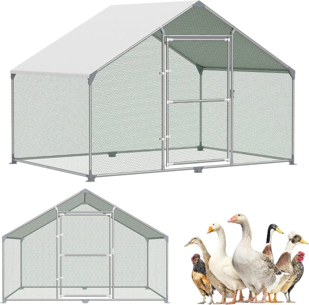 Test du poulailler Subtlety 3x2x2m : robustesse et espace garanti