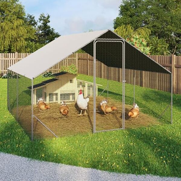 Découvrez notre test complet de l'enclos poulailler IDMarket 9 m² avec parc grillagé en acier galvanisé. Qualité, durabilité et protection optimale pour vos poules. 