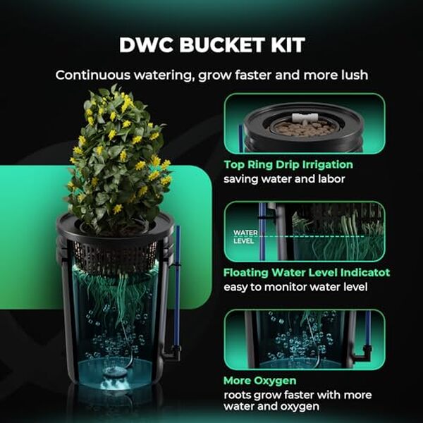 Découvrez notre test complet du système hydroponique Mars Hydro DWC 5 gallons avec pompe 8W : performances, avantages et résultats réels pour vos cultures.