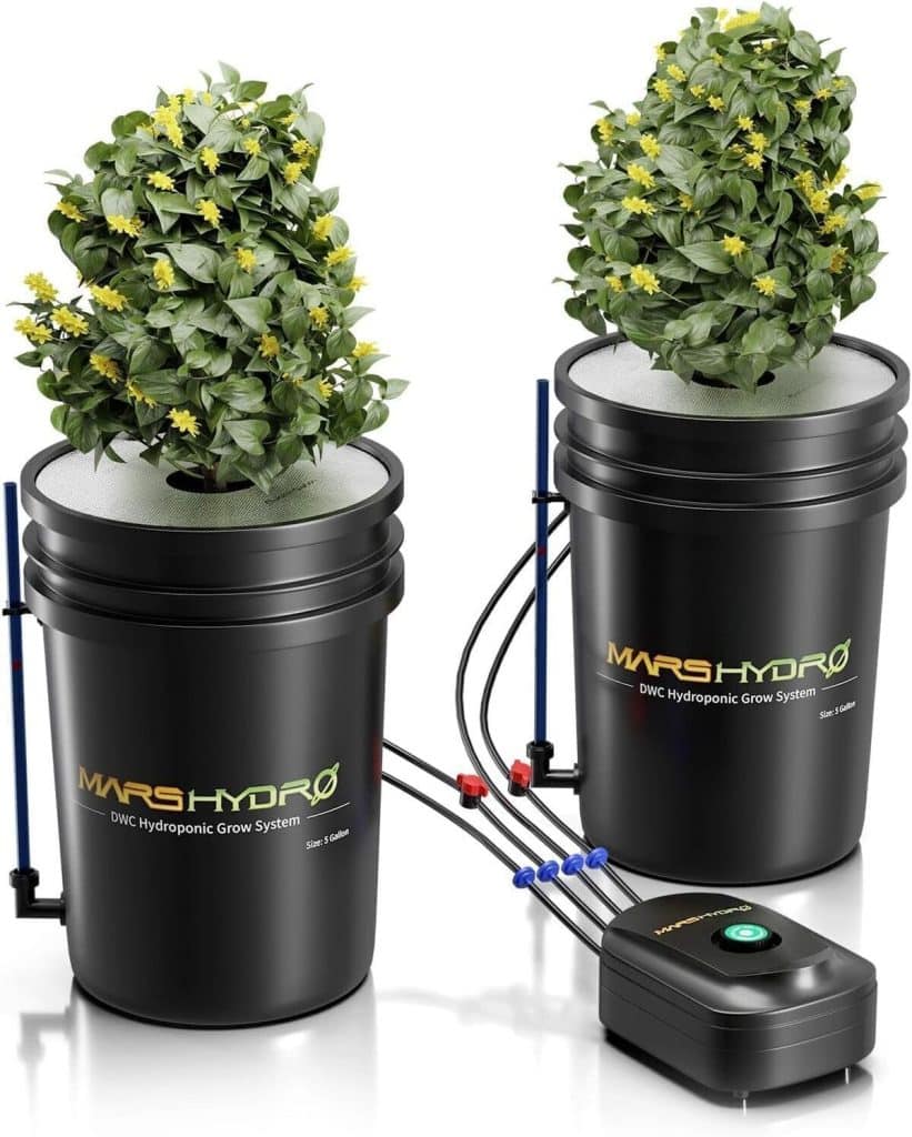 Test du système hydroponique Mars Hydro DWC 5 gallons avec pompe 8W
