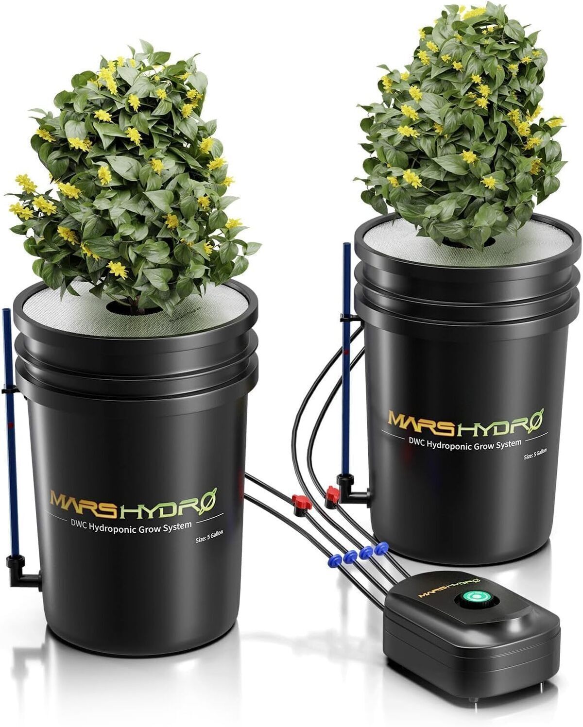 Test du système hydroponique Mars Hydro DWC 5 gallons avec pompe 8W